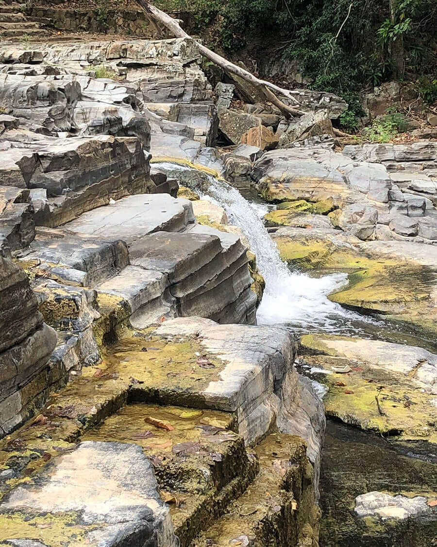 Waterfall - Biology Camp 2026
