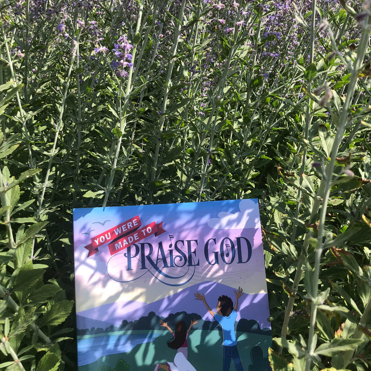 Book You Were Made to Praise God in a lavander field